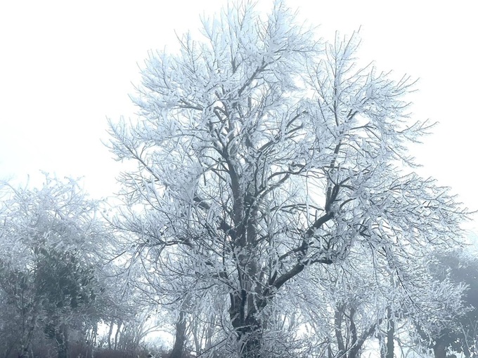 Fansipan peak covered in frost - 1