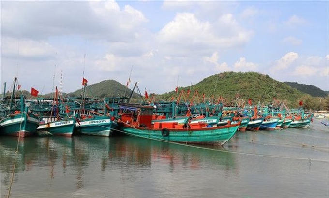 Vietnam issues plan of action, strives to put end to IUU fishing - 1