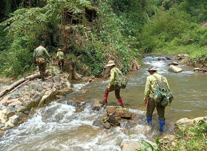 Dry season heralds renewed forest destruction in Dak Nong - 1 Dry season heralds renewed forest destruction in Dak Nong - 1