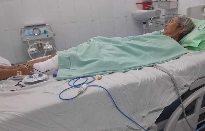 Monkeys attack people and pets in Quang Nam - 1 Monkeys attack people and pets in Quang Nam - 1