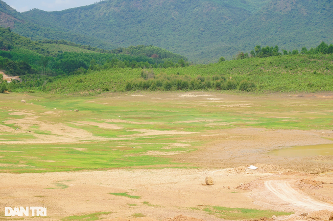 Many reservoirs in Binh Dinh dry up - 2