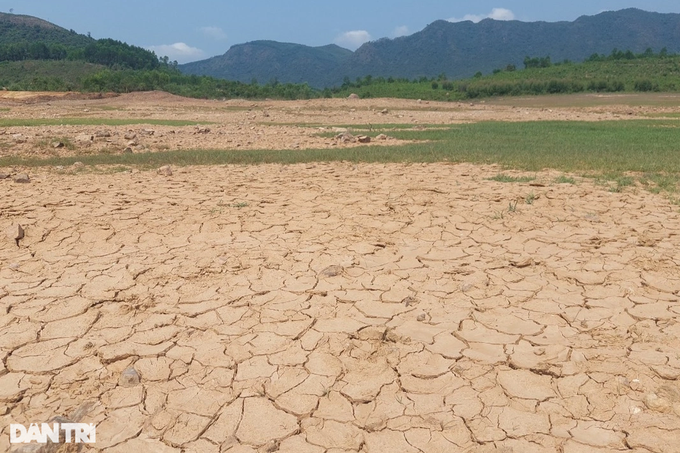 Many reservoirs in Binh Dinh dry up - 1