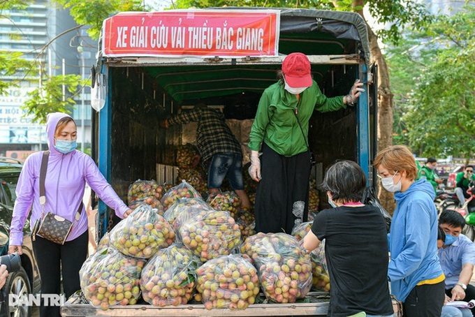 Hanoians buying lychee to support farmers in Bac Giang - 1