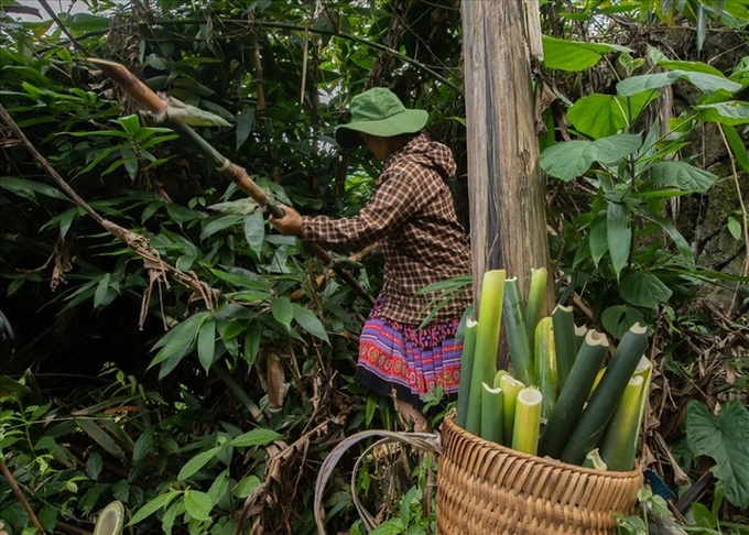 H'mong ethnic group continues traditional paper-making craft - 5