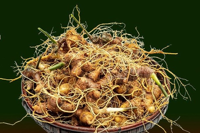 Vietnam builds international brand for ginseng - 1 Vietnam builds international brand for ginseng - 1
