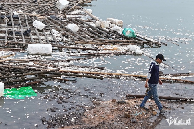 Ha Long Bay faces environmental crisis with massive post-typhoon debris - 1