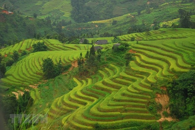 Five Vietnamese places among world’s 20 best backpacking destinations - 1 Five Vietnamese places among world’s 20 best backpacking destinations - 1