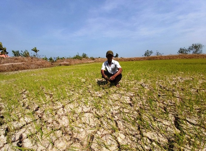 PM demands Mekong Delta freshwater scarcity is tackled - 1 PM demands Mekong Delta freshwater scarcity is tackled - 1