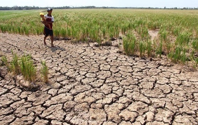 PM allocates VND350bn for Mekong Delta to fight drought - 1