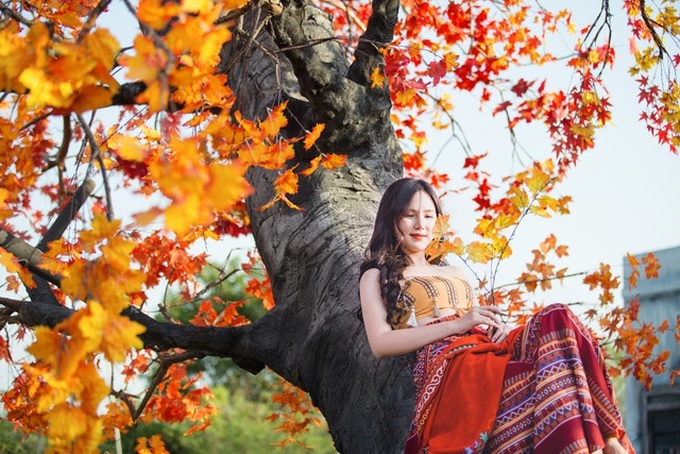 Hanoi red maple road attracts visitors - 6