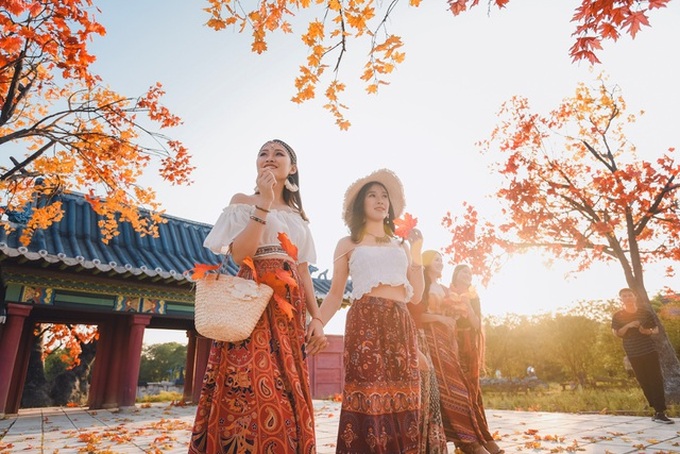 Hanoi red maple road attracts visitors - 4