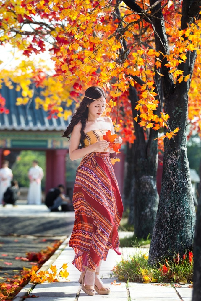 Hanoi red maple road attracts visitors - 7