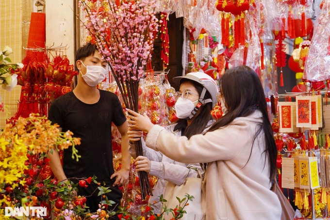 Hanoi streets colourful ahead of Tet - 5 Hanoi streets colourful ahead of Tet - 5