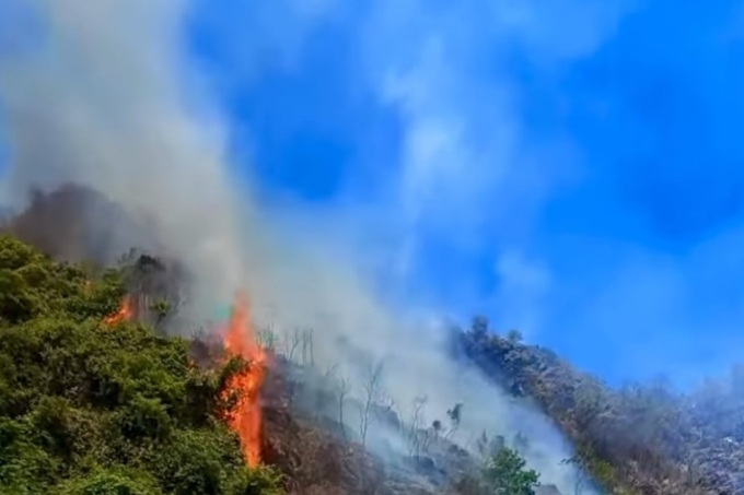 Over 4,000 square metres of Ninh Binh protective forest burnt down in fire - 1 Over 4,000 square metres of Ninh Binh protective forest burnt down in fire - 1