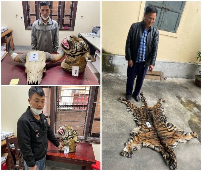 Three prosecuted for trading tiger skin - 1