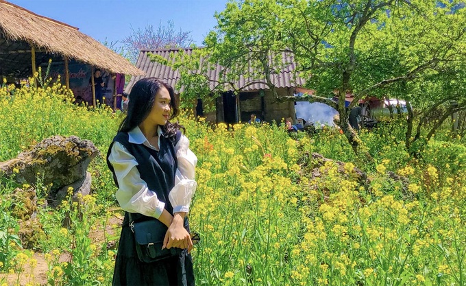 Beauty of plum blossoms in Nghe An - 9