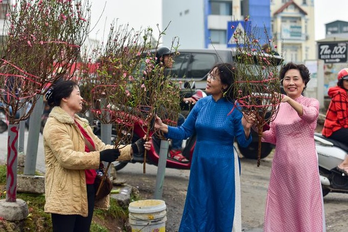 Peach blossoms on Hanoi streets signals Tet - 1