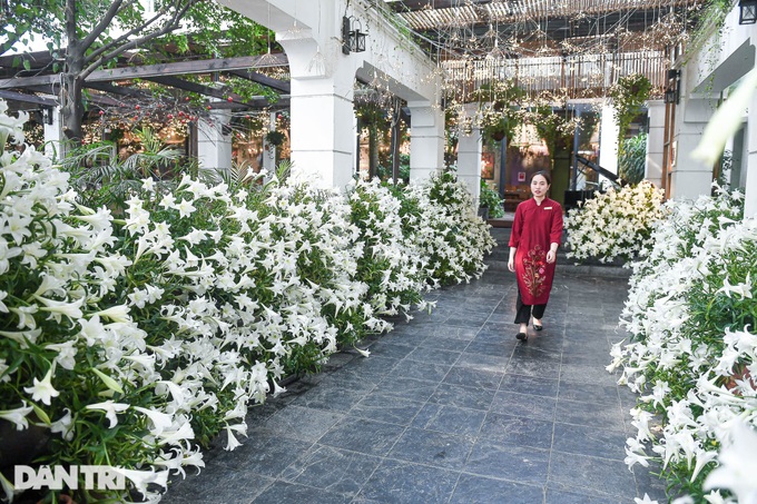 Hanoi restaurant use flower décor to attract diners - 1 Hanoi restaurant use flower décor to attract diners - 1