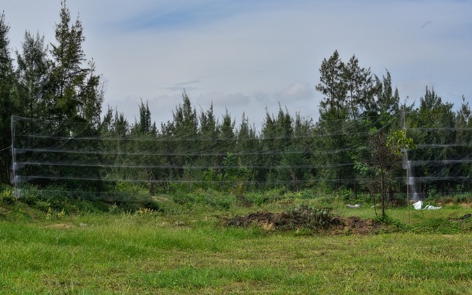 Bird hunting season in Thanh Hoa - 2