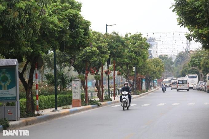 Hanoi to plant hundreds of thousands more trees by 2025 - 1