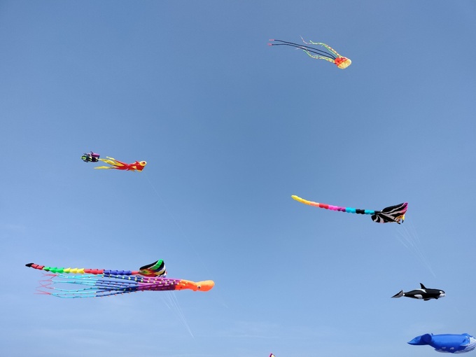 Largest Vietnamese kite to fly high in Vung Tau - 1 Largest Vietnamese kite to fly high in Vung Tau - 1