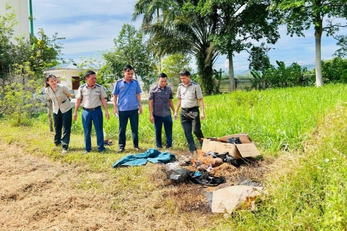 Seven frozen tiger cubs destroyed in Ha Tinh - 1