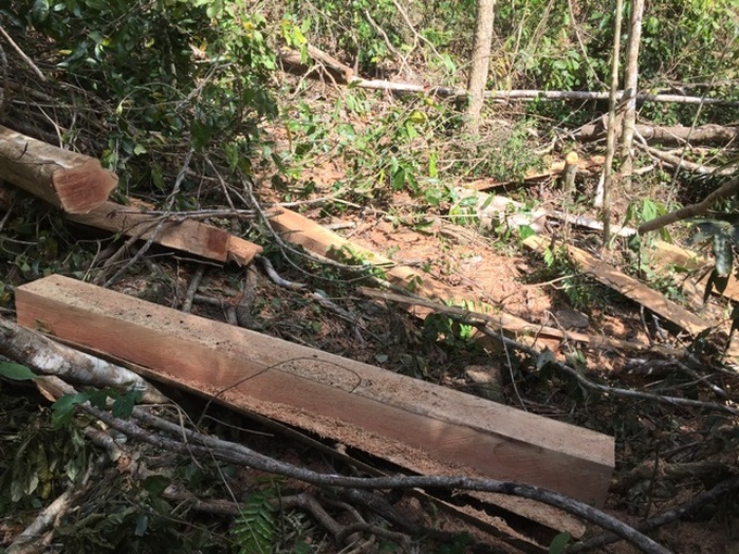 Ea So Natural Reserve ruined by loggers - 2 Ea So Natural Reserve ruined by loggers - 2