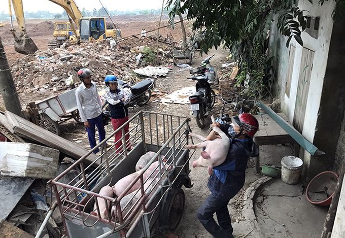 Site clearance underway in Hanoi for Formula One race - 1