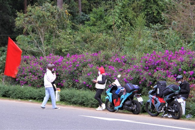 Cherry blossom season in Mang Den - 9