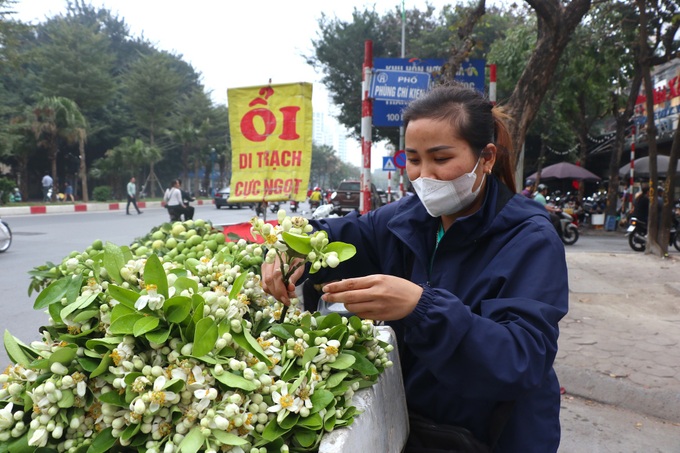 Pomelo flowers attract customers in Hanoi - 3