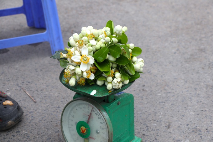 Pomelo flowers attract customers in Hanoi - 6