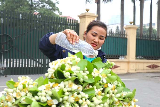 Pomelo flowers attract customers in Hanoi - 2