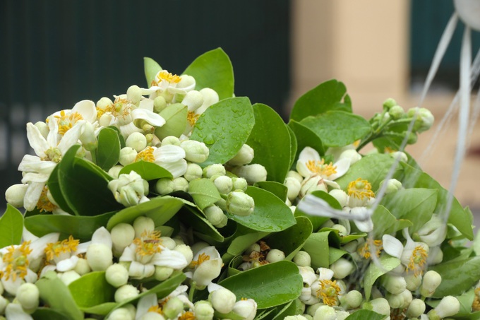 Pomelo flowers attract customers in Hanoi - 4