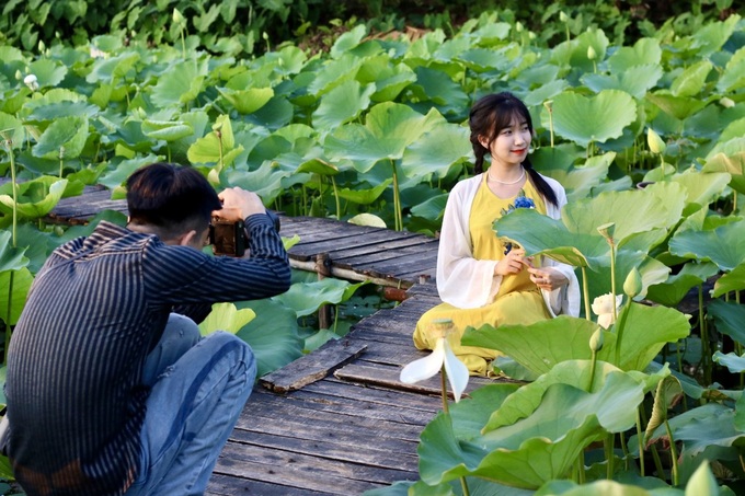 Hanoi lotus ponds enchant visitors - 5