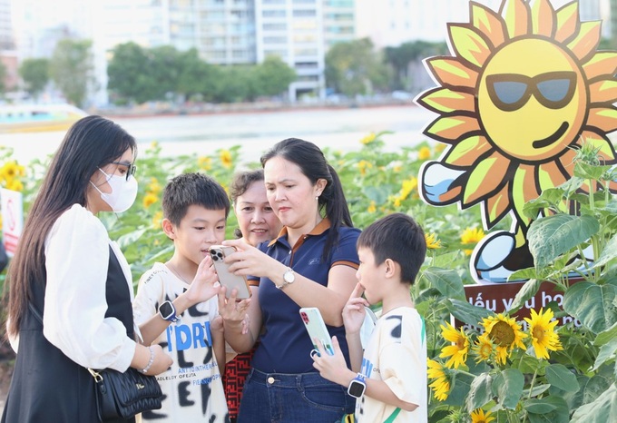 Sunflower field by Saigon River attract visitors - 3 Sunflower field by Saigon River attract visitors - 3