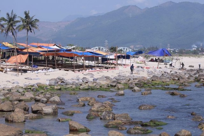 Unlicensed tourism services in Danang tackled - 1
