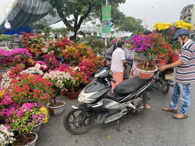 HCM City to help purchase Tet flowers for traders - 1