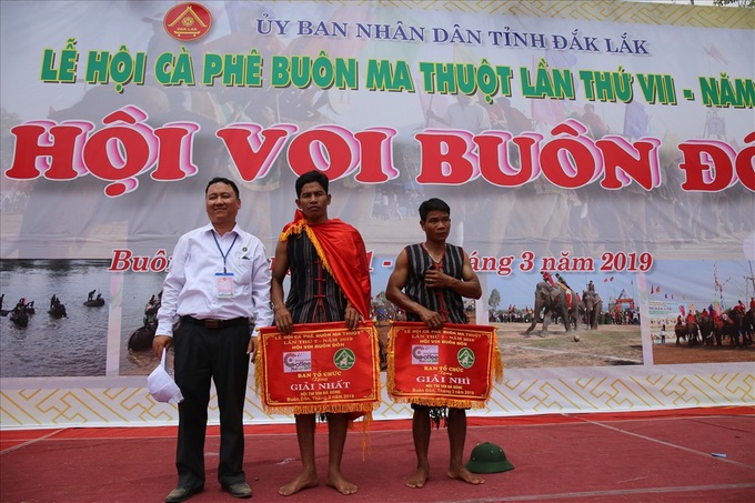 Elephants join football match at Buon Ma Thuot Coffee Festival - 10 Elephants join football match at Buon Ma Thuot Coffee Festival - 10
