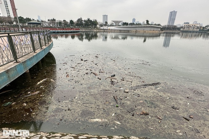 Newly-opened Hanoi park faces pollution after mass fish deaths - 8 Newly-opened Hanoi park faces pollution after mass fish deaths - 8