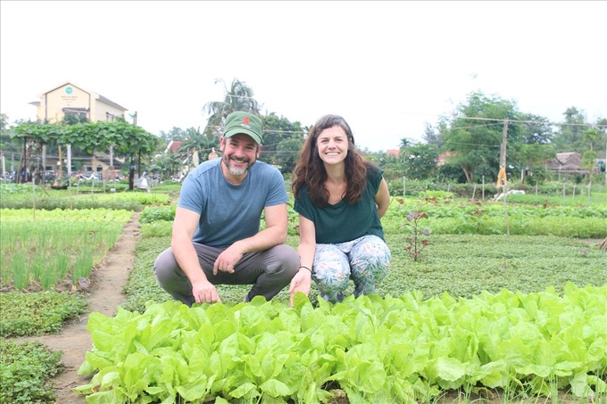 Hoi An vegetable festival attracts foreign visitors - 4 Hoi An vegetable festival attracts foreign visitors - 4