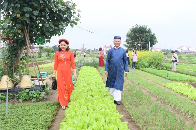 Hoi An vegetable festival attracts foreign visitors - 2 Hoi An vegetable festival attracts foreign visitors - 2