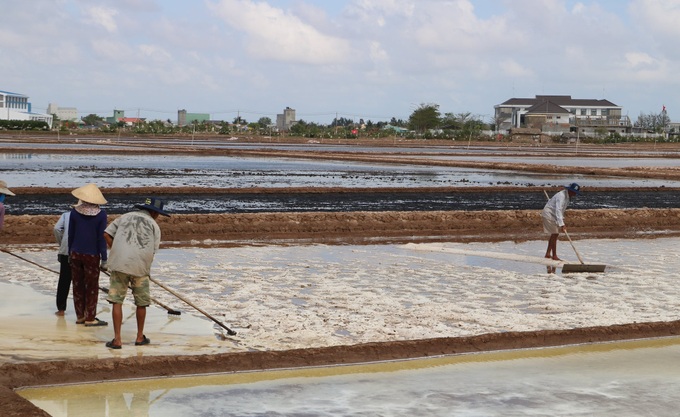 Bac Lieu to host first salt festival - 1