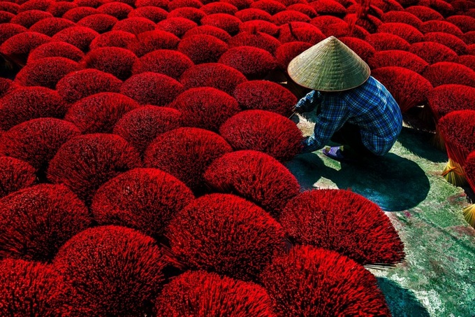 Local image claims prize at CEFF International Environmental Photography - 1