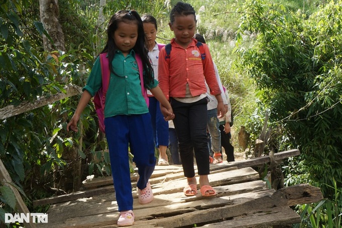 Poor Nghe An villagers need support to build a bridge - 5