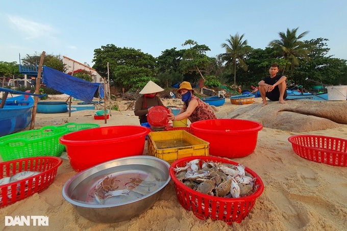 Pristine beauty of Phu Yen fishing village - 3 Pristine beauty of Phu Yen fishing village - 3