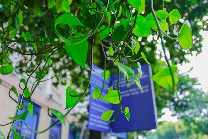 Hanoi bus stops go green - 4 Hanoi bus stops go green - 4