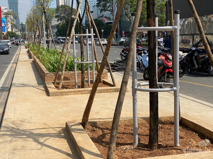 HCM City opts for trees instead of Le Loi roofing - 3