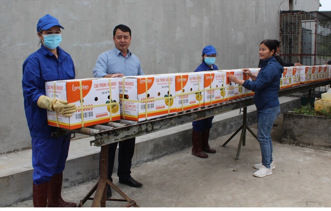 Cao Phong oranges exported to Europe - 1