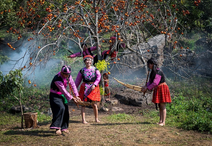 Plum blossoms in Moc Chau - 10 Plum blossoms in Moc Chau - 10