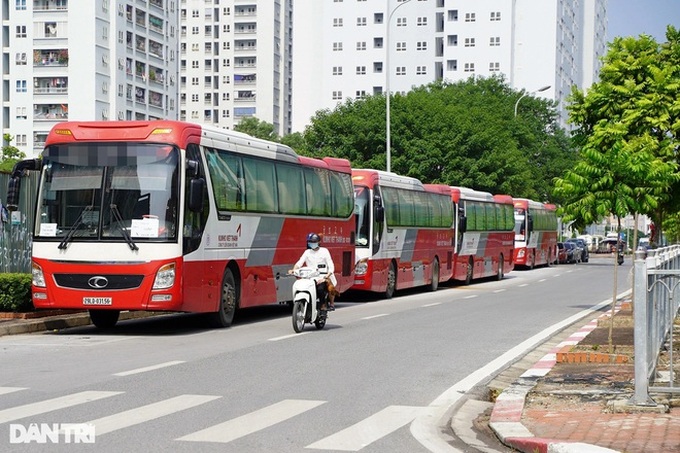 Hundreds of coaches, taxis in Hanoi left idle due to pandemic - 8